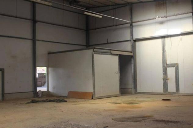 Immobile in asta di 41493 m² in vendita a Asciano - Foto 4