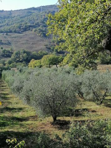 Casale in vendita a Saturnia - Manciano 200 mq Rif: 1171871 - Foto 4
