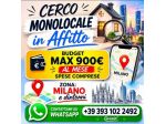 Cerco Monolocale Città Studi