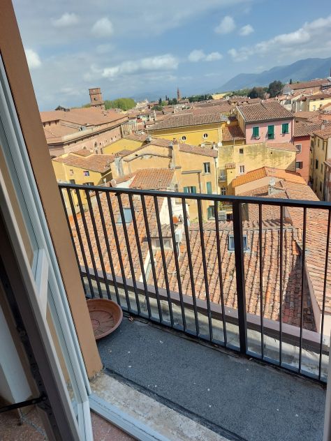 2 camere singole affitto studenti Pisa centro Lungarno Mediceo - Foto 6