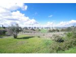 Terreno di 126000 m² in vendita a Castelnuovo Berardenga [rif. DV-2525]