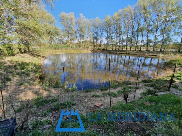 Terreno agricolo in vendita a Cerreto Guidi 21500 mq Rif: 1071586