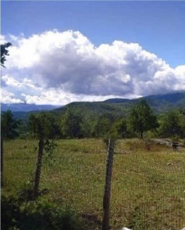 Immobile in asta di 31 m² in vendita a Rocca Santa Maria - Foto 5