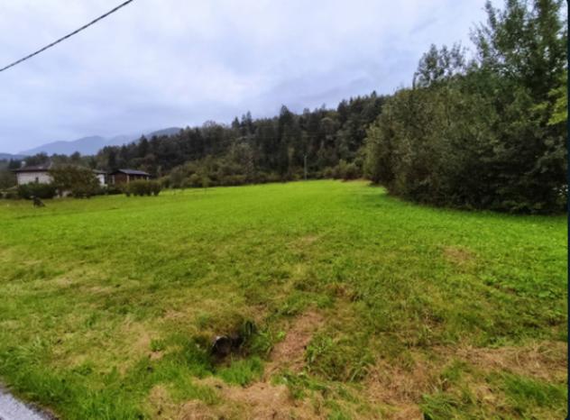 Immobile in asta di 13095 m² in vendita a Verzegnis - Foto 4