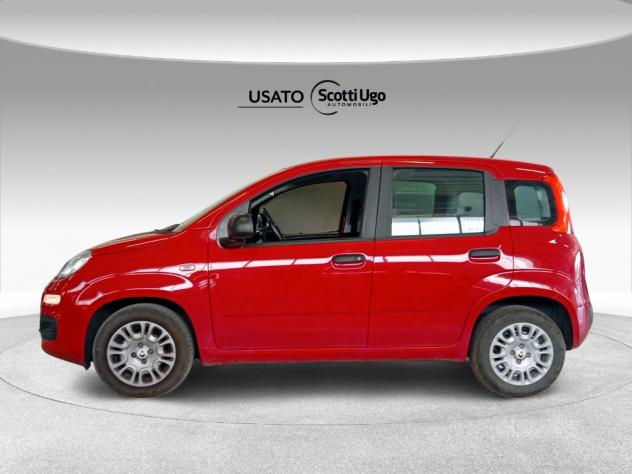 FIAT Pandina III 2024 Panda 1.0 firefly hybrid s&s 70cv - Foto 5