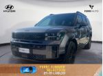 HYUNDAI Santa Fe 1.6 T-GDi PHEV 4WD AT 5 posti XClass Calligraphy rif. 23934806