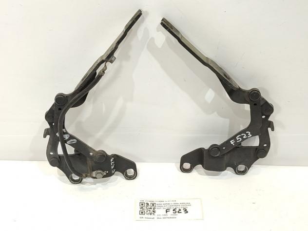 CERNIERE BAULE COFANO POSTERIORE DX SX BMW Serie 3 E90 Berlina 7115263 7115264 M47N204D4 (0508)
