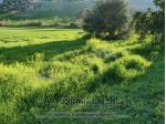 IMMOBILI-ALTRA CATEGORIA-Via S. Giovanni, Osimo AN, Italia