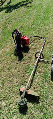 Giardiniere – Potatura, taglio erba e manutenzione - Foto 2