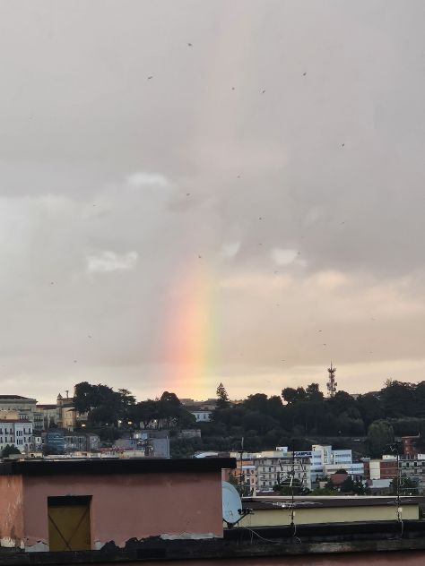 In Vendita Appartamento