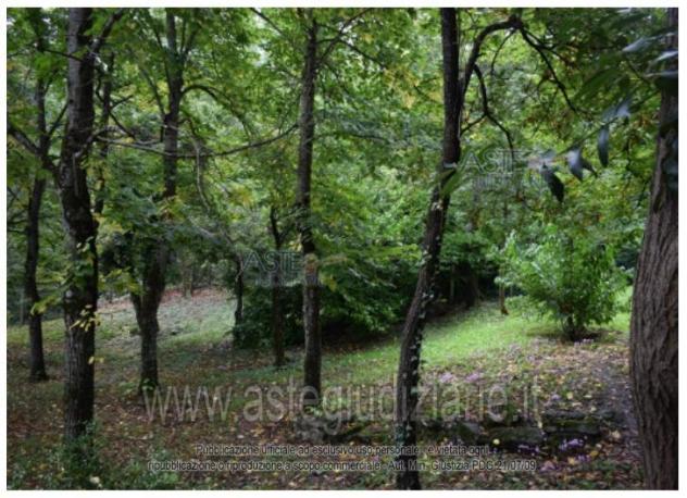 IMMOBILI-IMMOBILE RESIDENZIALE-Via Casine, 1701, 41025 Montecreto MO, Italia - Foto 5