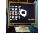 Monitor LCD 17" VIDEOSEVEN V17PS con casse