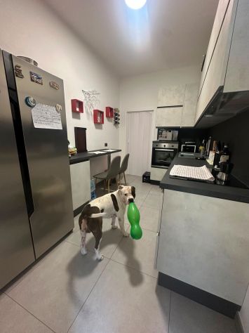 Stanza singola con bagno e frigo privato - Foto 5