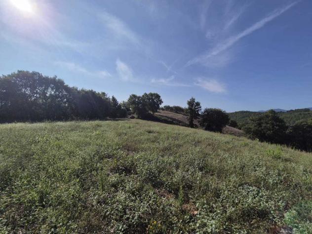 Seminativo in vendita a Civitella Paganico - Foto 10