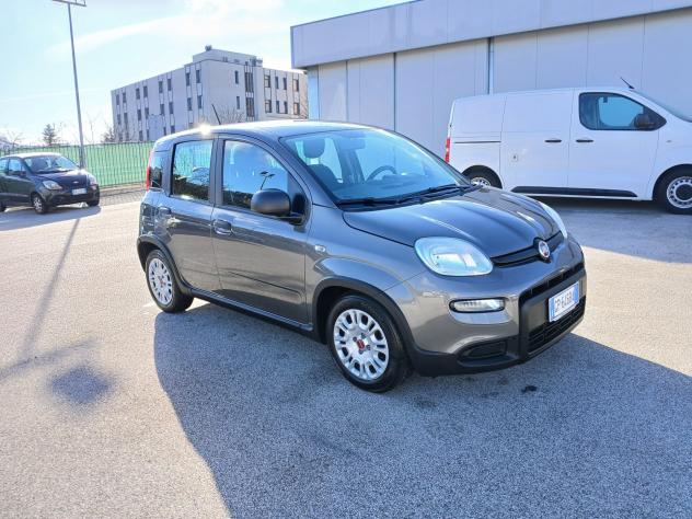 Fiat Panda 1.0 FireFly Hybrid City Life 2023 - Foto 3