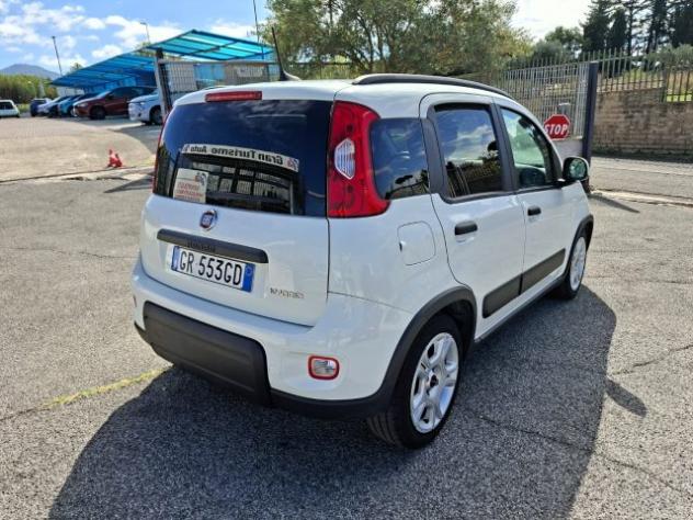 FIAT Panda 1.0 FireFly Hybrid CITY LIFE 5POSTI PREZZO REALE! rif. 24134112 - Foto 4