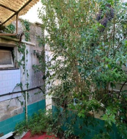 Immobile in asta di 138 m² con più di 5 locali e box auto in vendita a Tricase - Foto 4