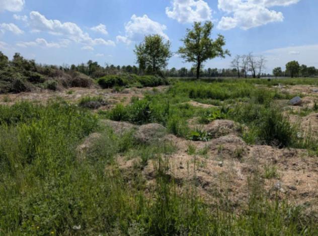 Immobile in asta di 232 m² in vendita a Momo - Foto 14