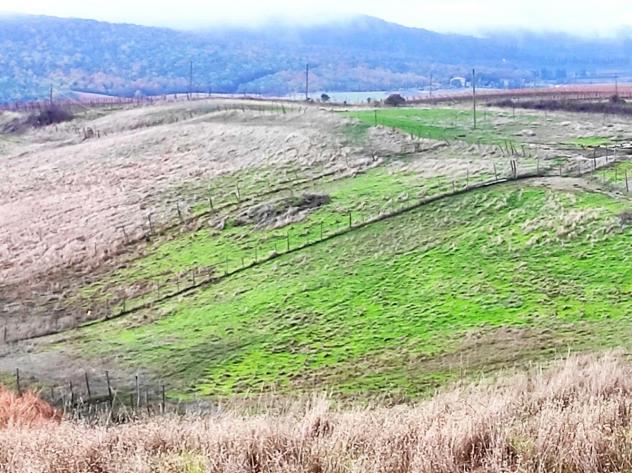 CASALE di 10 vani e di 550 mq (MONTALCINO) rif. AAI014 - Foto 5