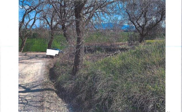 Immobile in asta di 33490 m² in vendita a Perugia - Foto 15