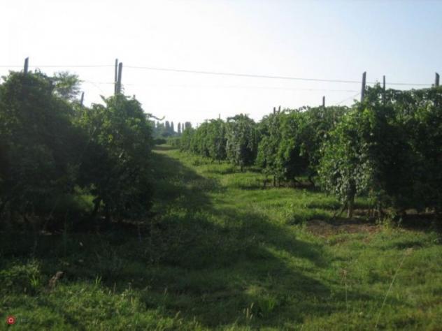 Terreno agricolo in Vendita in Via Carpi Ravarino 619 a Soliera - Foto 7