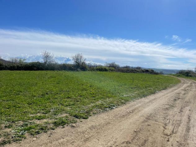 Agricolo in Via della Madonnella - Foto 2