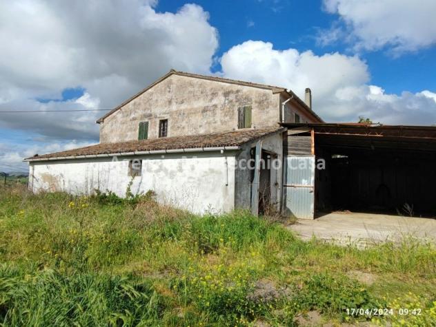 TIPICA CASA COLONICA MARCHIGIANA DI AMPIE DIMENSIONI CON LOCALI USO DEPOSITO E CORTE ESCLUSIVA CIRCOSTANTE - Foto 15
