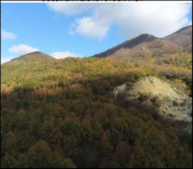 Immobile in asta di 997304 m² in vendita a Lagonegro - Foto 2
