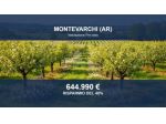 Immobile in asta di 785232 m² in vendita a Montevarchi