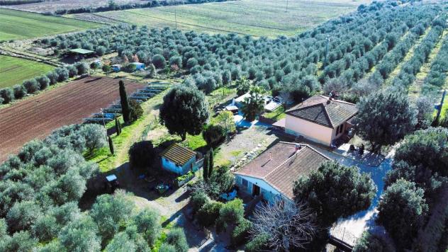 Tenuta complesso in Vendita in zona RIBOLLA - Foto 4