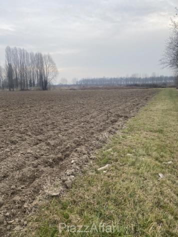 Terreno a Sant'Angelo di Piove di Sacco - Rif. SPDS16 - Foto 6