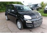 FIAT Pandina 1.0 FireFly 65 CV Hybrid Icon 5 posti rif. 23686756