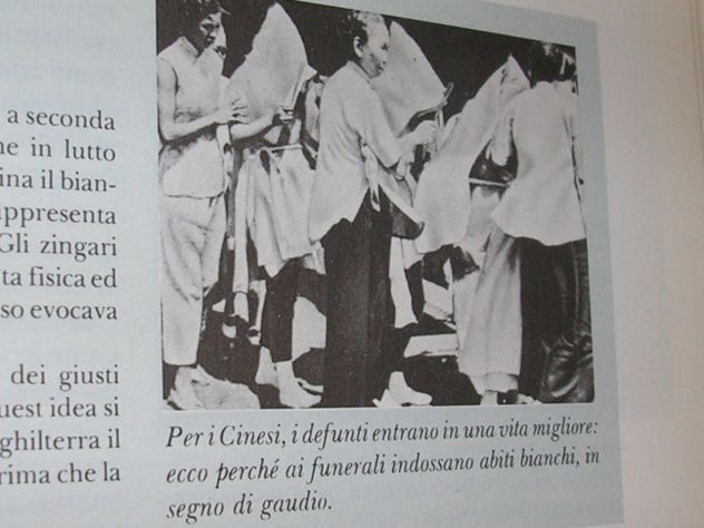 NEL MONDO DELL'INCREDIBILE - Foto 9