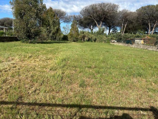 Agricolo in vendita a Aprilia - Foto 15