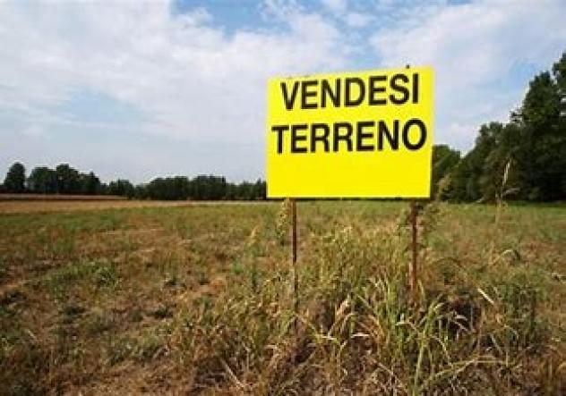 BORGO S LORENZO TERRENO MQ 16000