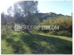Terreno in vendita a Casignana - Rif. 4552905