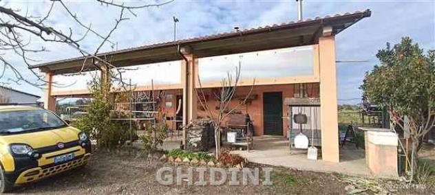 RUSTICO di 2 vani e di 130 mq (GROSSETO - POGGIALE) rif. 2537.28M - Foto 3