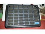 Altoparlante Philips