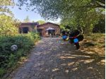 Villa in vendita a Carpineto - Sovicille 260 mq  Rif: 1289292