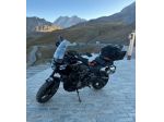 Harley Davidson panamerica