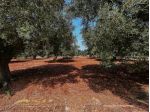 Rustico in vendita a Carovigno