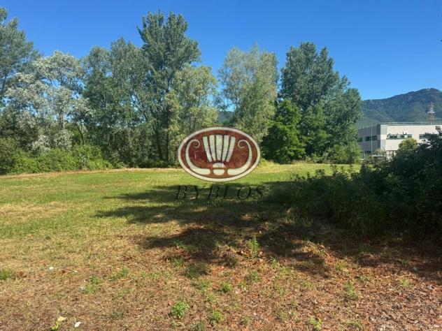TERRENO PRODUTTIVO/INDUSTRIALE/COMMERCIALE FRONTE STRADA PROVINCIALE - Foto 4