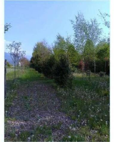 Immobile in asta di 11048 m² in vendita a Caneva - Foto 10