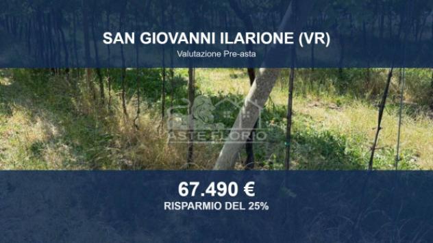 Immobile in asta di 6284 m² in vendita a San Giovanni Ilarione