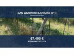 Immobile in asta di 6284 m² in vendita a San Giovanni Ilarione