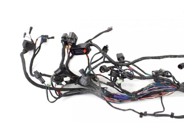 TRIUMPH SPEED TWIN 900 T2503335 CABLAGGIO IMPIANTO ELETTRICO 21 - 24 MAIN WIRING HARNESS - Foto 2