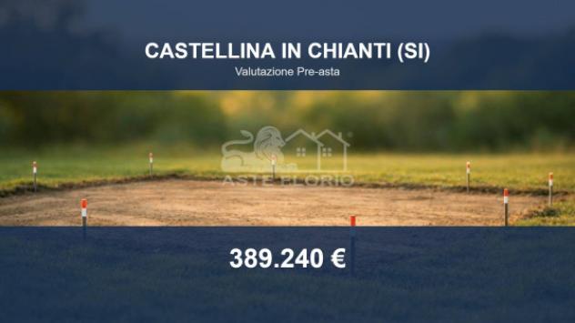 Immobile in asta di 30436 m² in vendita a Castellina in Chianti