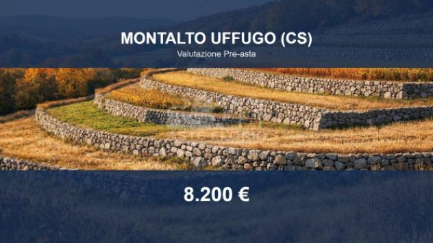 Immobile in asta di 15000 m² in vendita a Montalto Uffugo