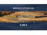 Immobile in asta di 15000 m² in vendita a Montalto Uffugo
