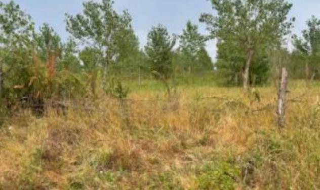 Immobile in asta di 73 m² in vendita a Portogruaro - Foto 7